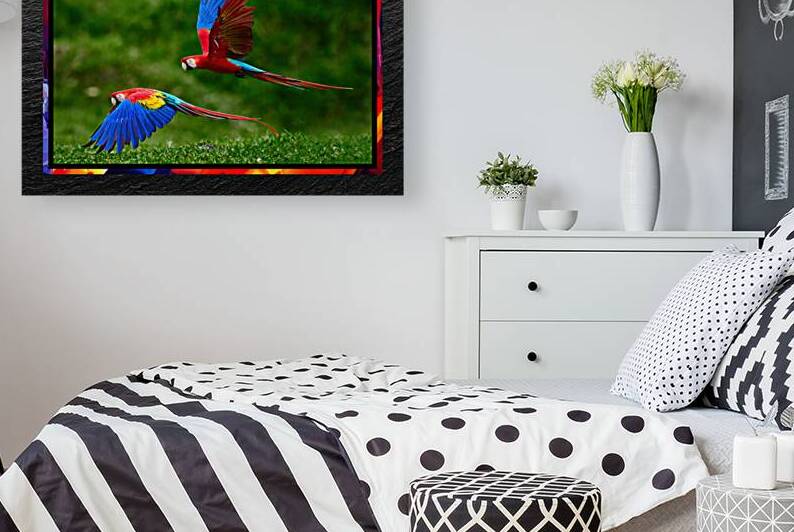 015 003 by Jack Deco