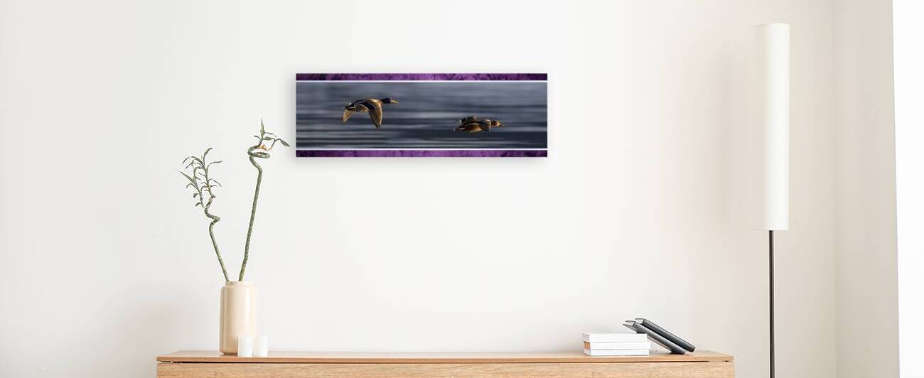 015 010 by Jack Deco