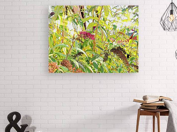  Buddleia Blooms                                                                                                                     by Catriona Roberts Nature Photography and Designs