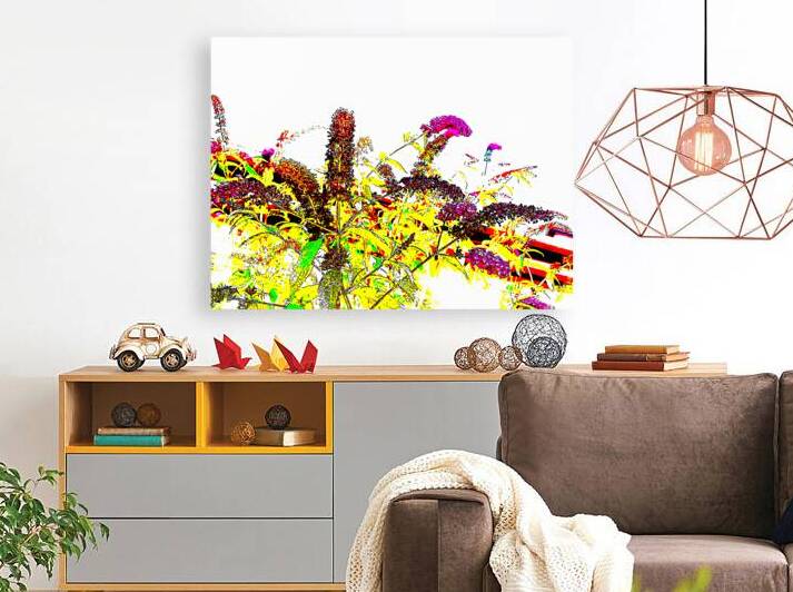 Abstract Summer Buddleia                                                                                                                       by Catriona Roberts Nature Photography and Designs