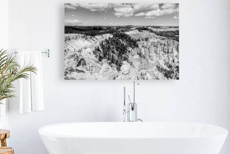 Rainbow Point Hoodoos Bryce Grayscale by Jennifer White