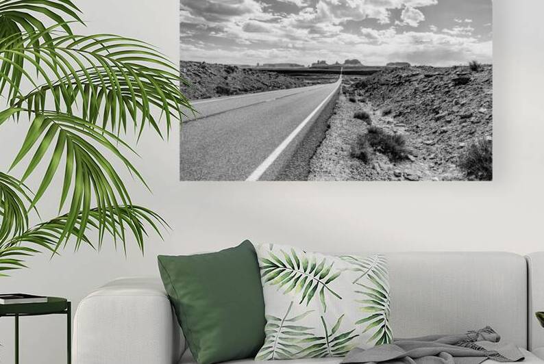 Forrest Gump Point Roadside View Grayscale by Jennifer White