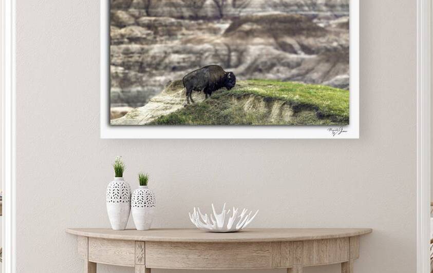Badlands Buffalo by Moments By Shane