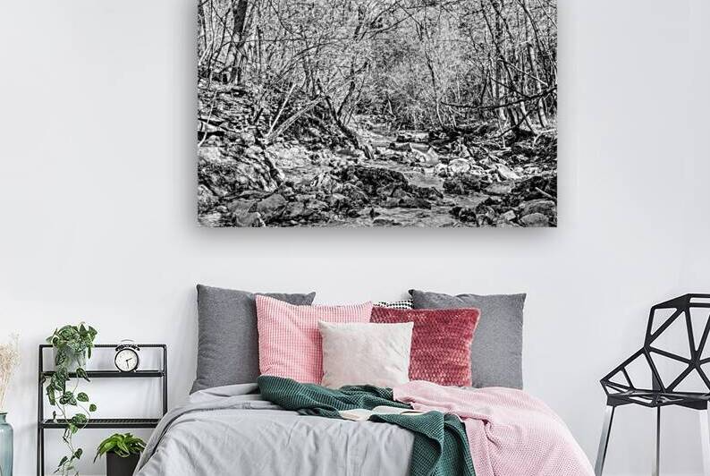 Rustic Fall Creek In Missouri Ozarks Grayscale by Jennifer White