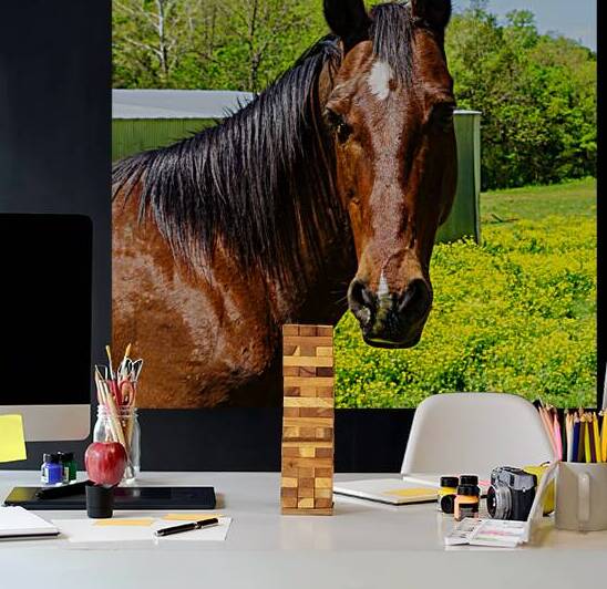 Curious Dark Brown Horse by Jennifer White