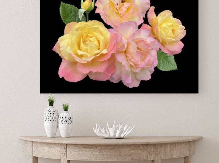 Pink And Yellow Roses On Black by Gill Billington