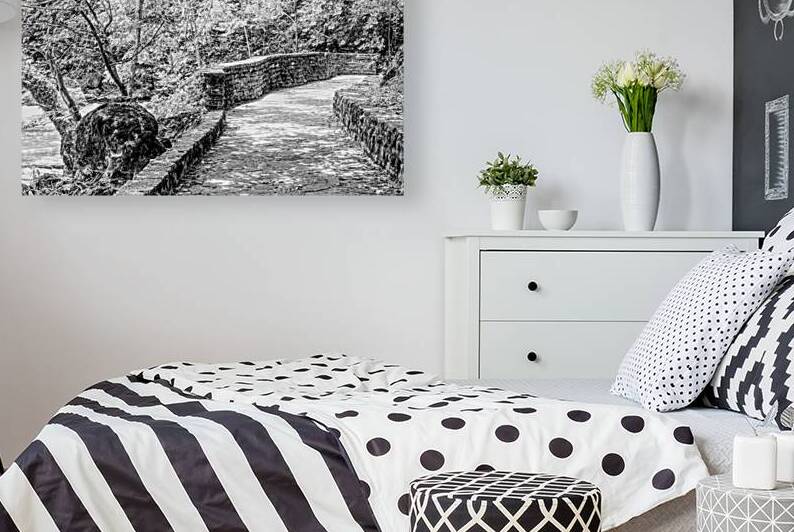 Pathway To Big Spring Grayscale by Jennifer White