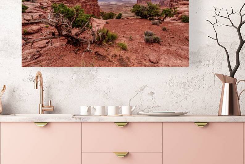 View Of Holeman Spring Canyon by Jennifer White