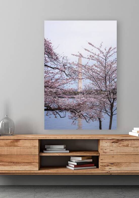 Echoes Beneath the Blossoms  by Tsvetina Photography