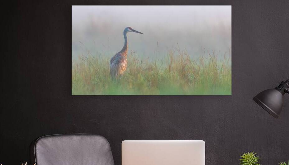 Lone Sandhill in Fog by Joe Riederer