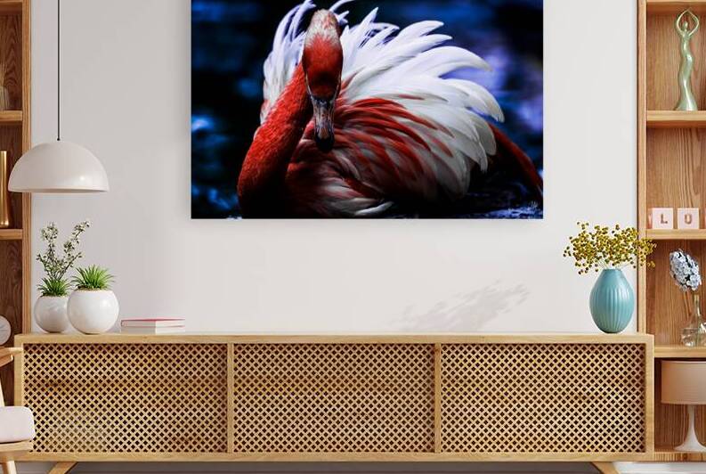 Gaze of Fire  by Tsvetina Photography