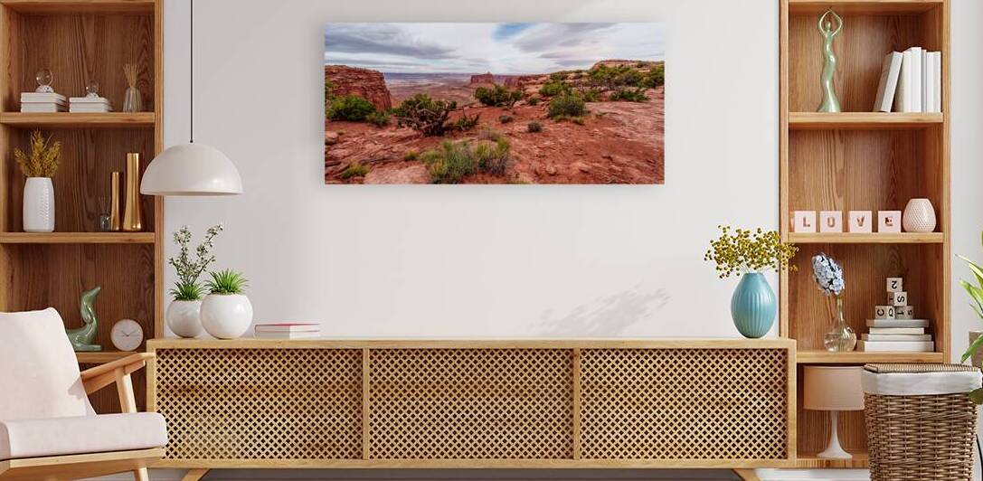Holeman Spring Canyon At Canyonlands Pano by Jennifer White