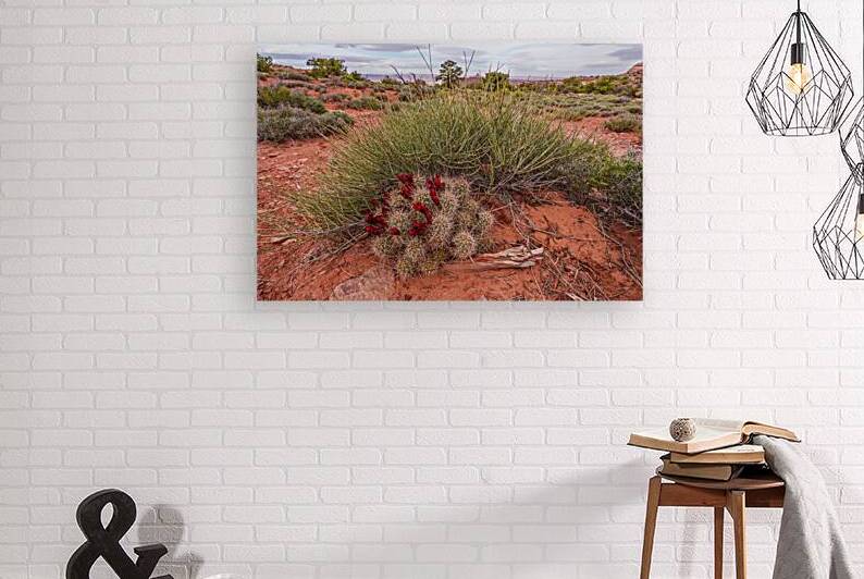 Claret Cup Cactus Canyon Background by Jennifer White