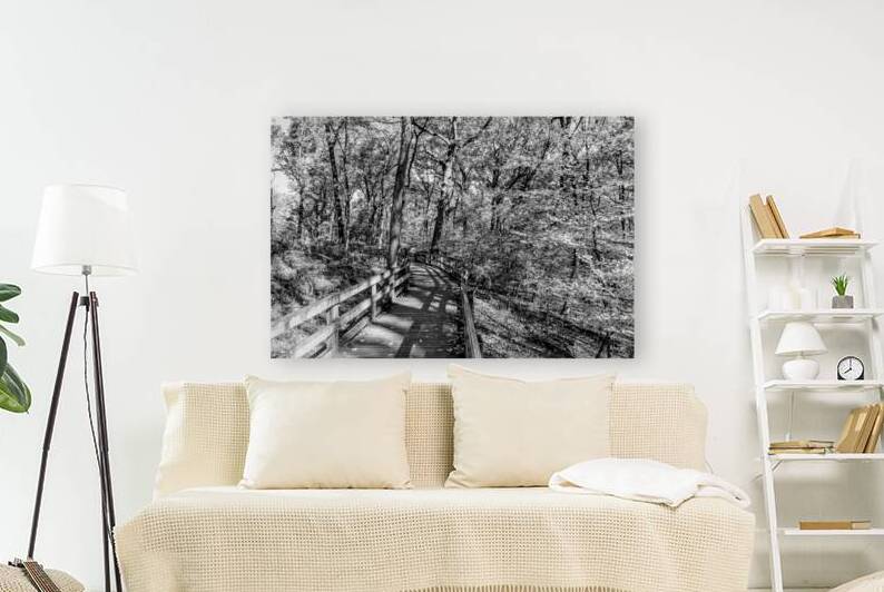 Autumn Fontenelle Walkway Grayscale by Jennifer White