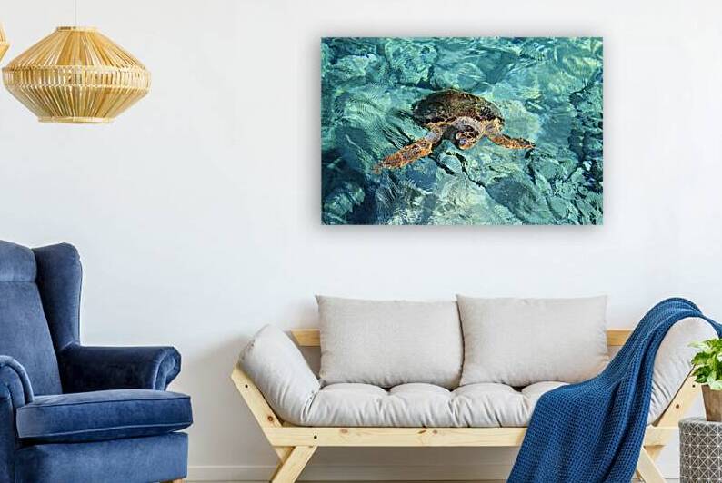 Caretta Caretta – Endangered Sea Turtle by Pavlos Art Photography