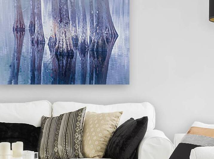 Southern Cypress Trees in Blue by Norma Brandsberg Photography