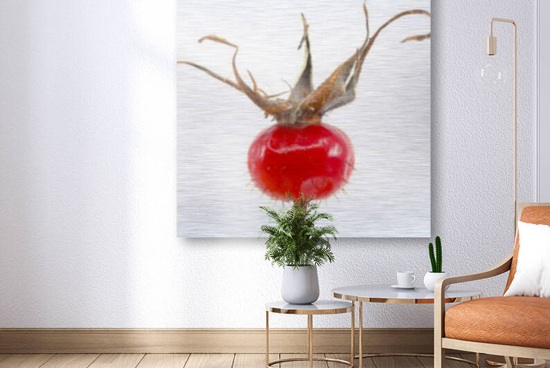 Wild Rose Hip by Joe Riederer