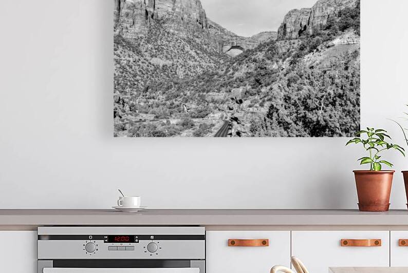 Zion Great Arch Above Switchbacks Grayscale by Jennifer White