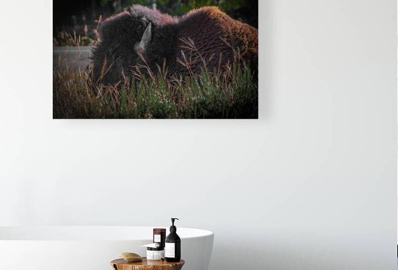 untitled shoot 3574 by Against The Wind Images