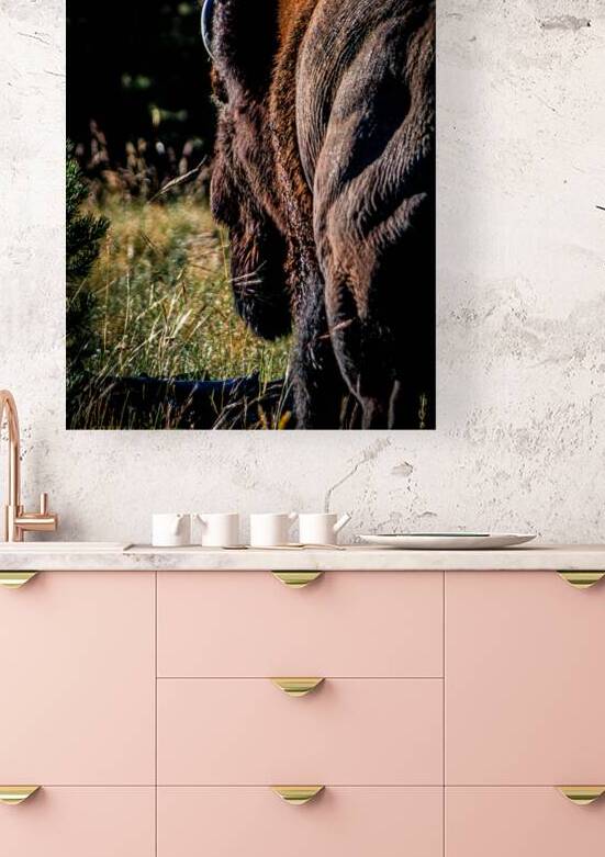 untitled shoot 3555 by Against The Wind Images