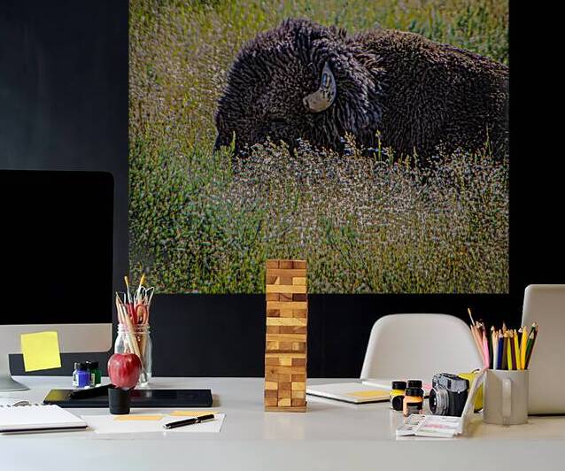 untitled shoot 5351 by Against The Wind Images