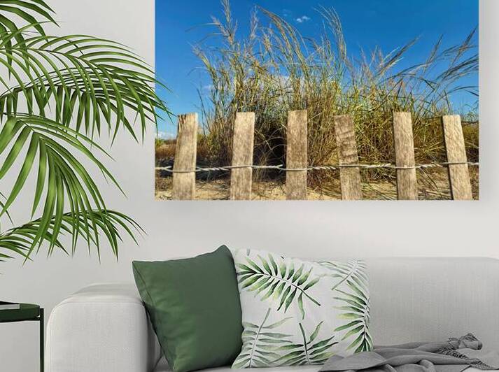 Dune Grass Reaching the Sky by Bill Swartwout Photography