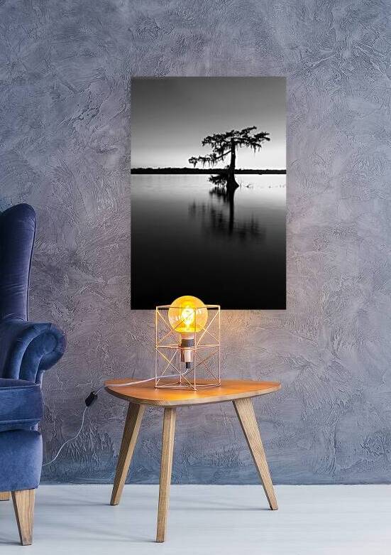 Lake Martin Louisiana - Black and white by DELPHIMAGES