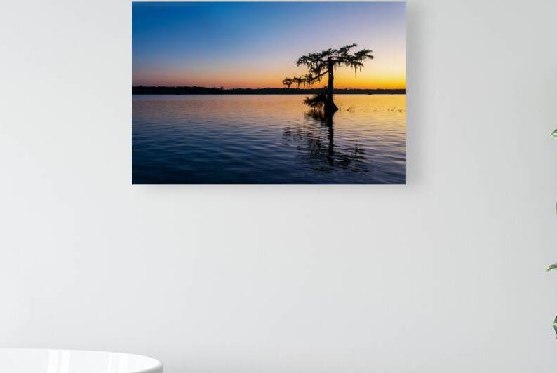 Lone Tree at Sunset Lake Martin Louisiana by DELPHIMAGES
