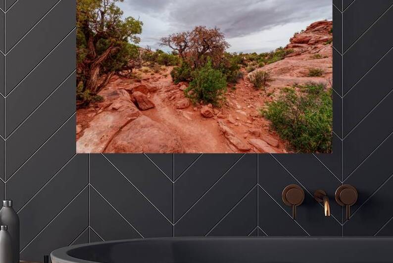 Upheaval dome Wilderness Hiking Trail by Jennifer White