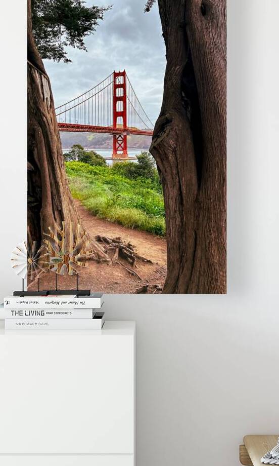 Golden Gate Bridge Framed by Cypress Trees by Pavlos Art Photography