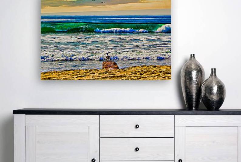 SEABIRD ON ROCK  by Charles Herchert