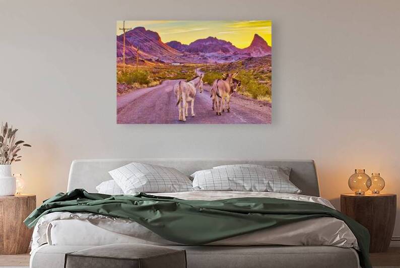 DESERT WIDERNESS by Charles Herchert