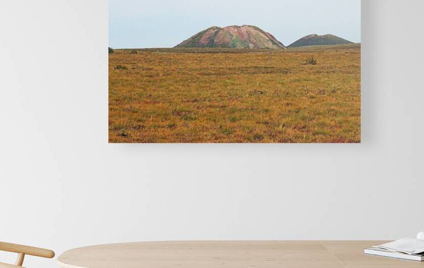 Pingo Canadian Landmark by Deb Oppermann