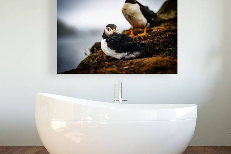 Just a little relaxation by Francois Lapointe