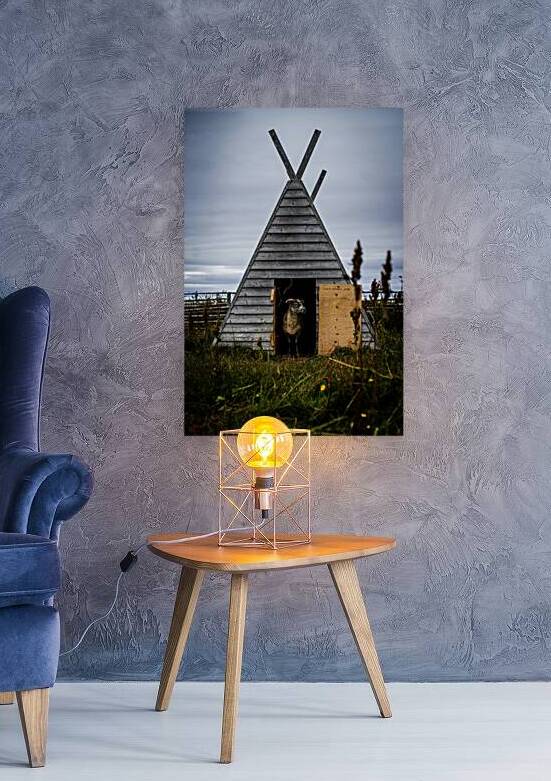 Viking Sheep by Francois Lapointe