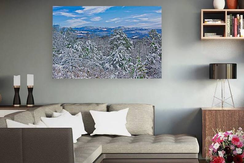 SOUTHERN WINTER  by Charles Herchert