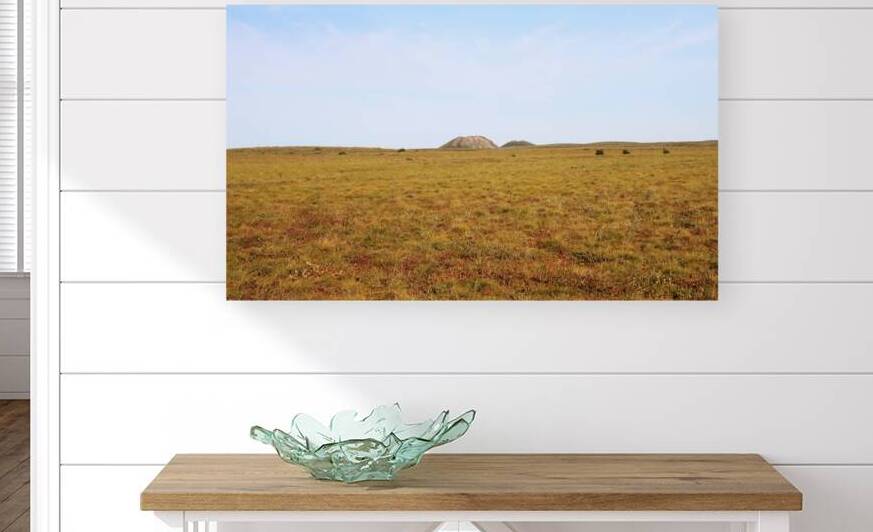 Pingo Canadian Landmark And The Tundra by Deb Oppermann