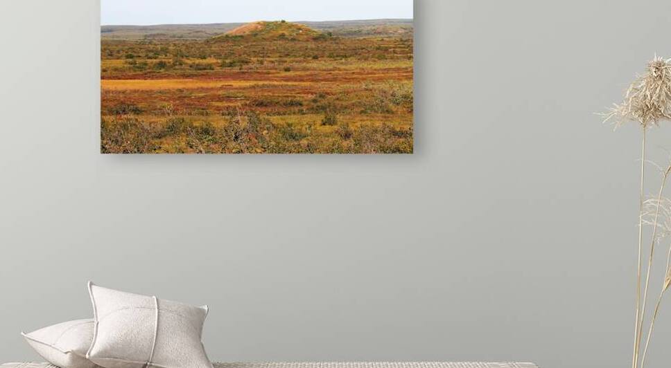 Pingo And Tundra by Deb Oppermann