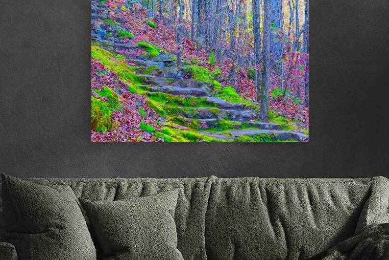 FOREST STAIRCASE  by Charles Herchert