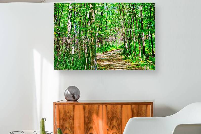 NATIVE FOREST  by Charles Herchert