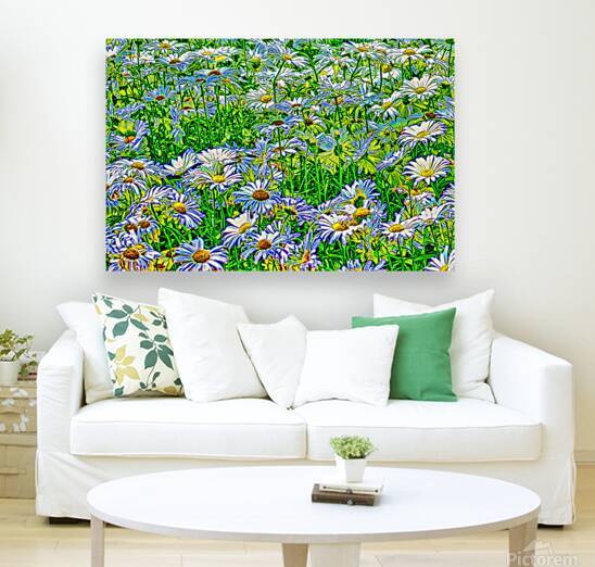 FIELD OF DAISIES  by Charles Herchert