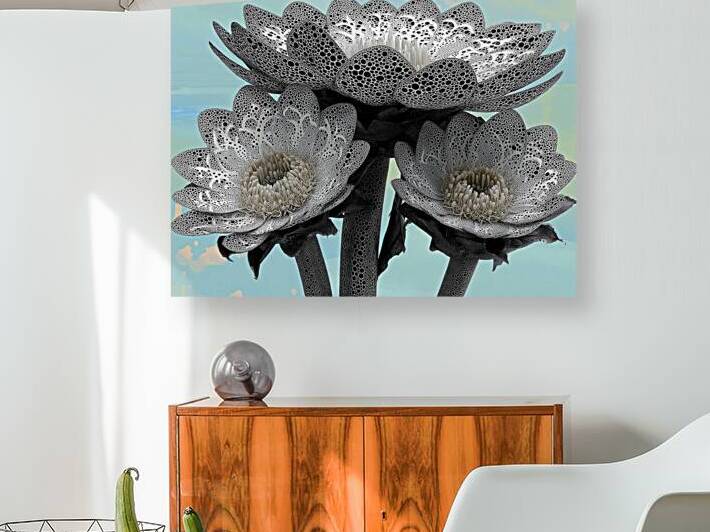 Lace Petal Trio – Modern Lotus Bloom Art Print by Savage Art Prints