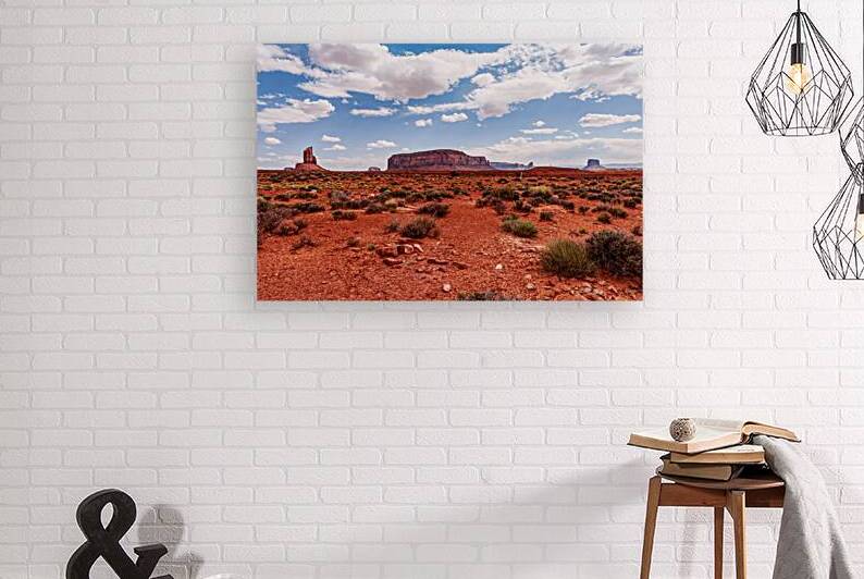 Back North Side Of Monument Valley by Jennifer White