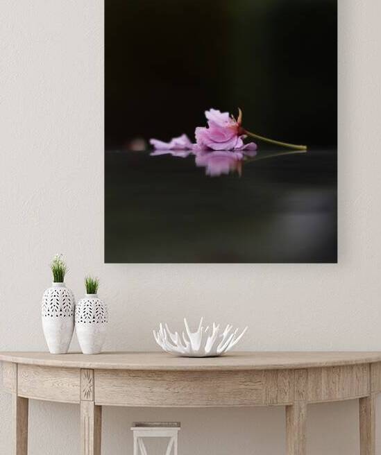 Sleeping Beauty by Marilaine Delisle