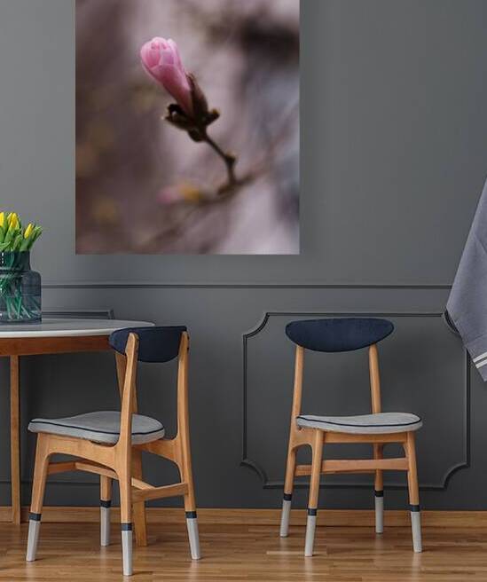 Second Chances by Marilaine Delisle