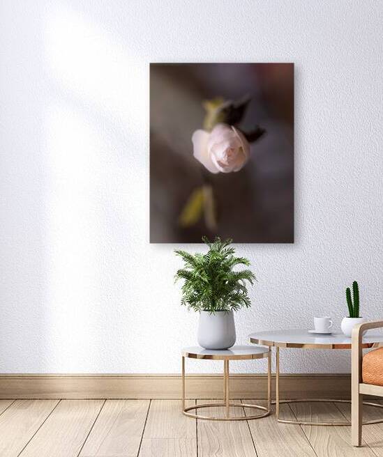 New Beginnings by Marilaine Delisle