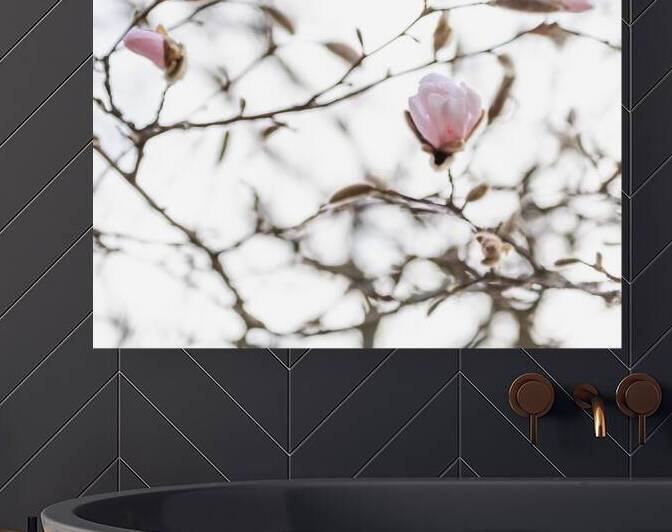 Reverie by Marilaine Delisle