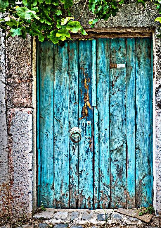 Old blue door with vine by DELPHIMAGES