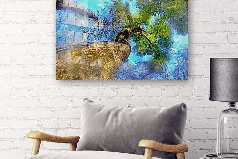 Lady Of The Woods by HH Photography of Florida