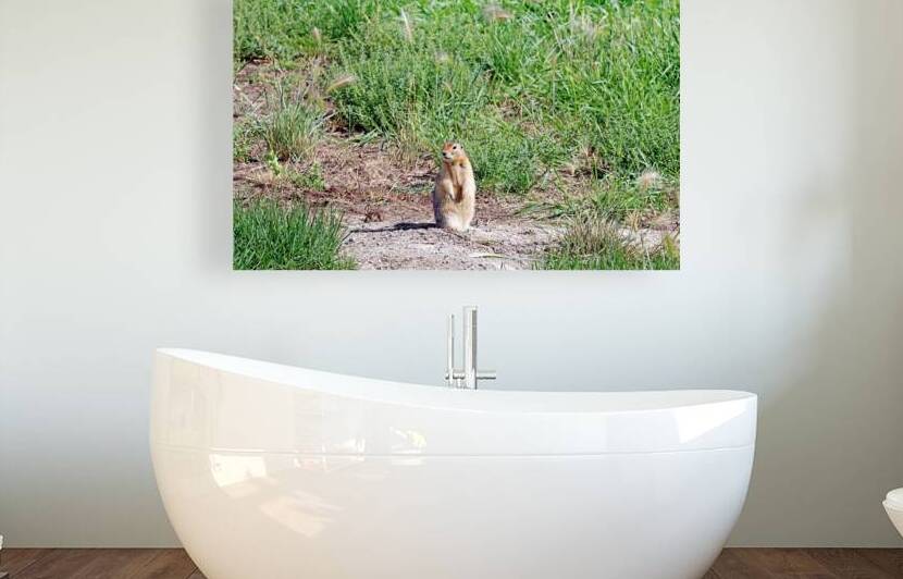 What s Going On by Deb Oppermann